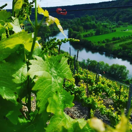 Aurum * Kirchheim am Neckar