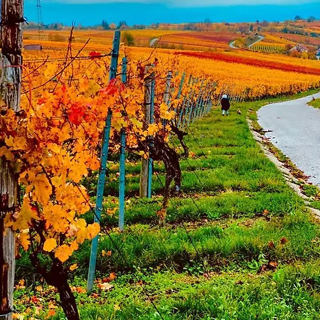 Aurum Kirchheim am Neckar